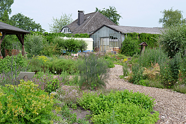 Haus und Gewächshaus mit Nutzgarten im Vordergrund