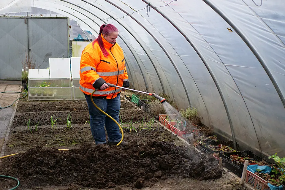 Pflanzen giessen im Gew&auml;chshaus
