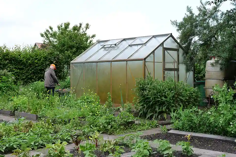 Gew&auml;chshaus im Vordergrund Gem&uuml;sebeete