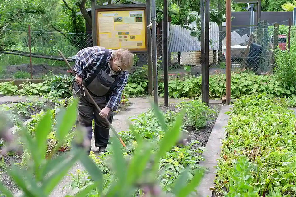 Person harkt die Beete