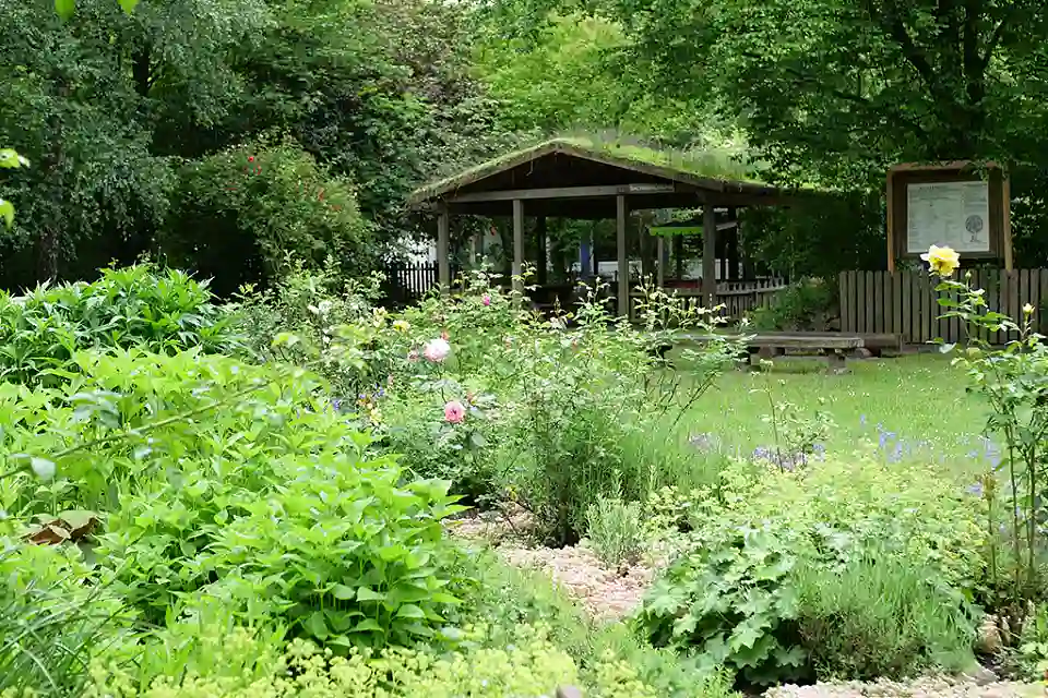 Garten im Hintergrund ein Holzhaus