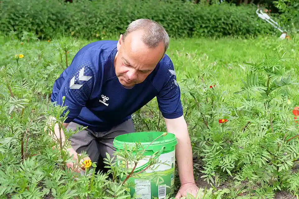 Person erntet essbare Bl&uuml;ten