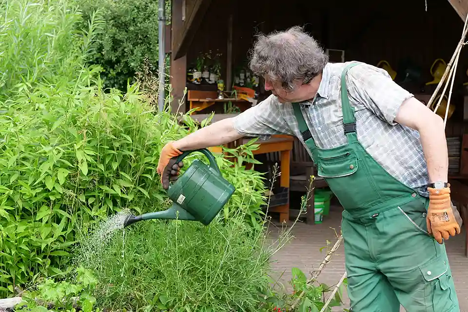 Person bew&auml;ssert Pflanzen