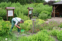 Nutzgarten mit Holzhaus und arbeitender Person